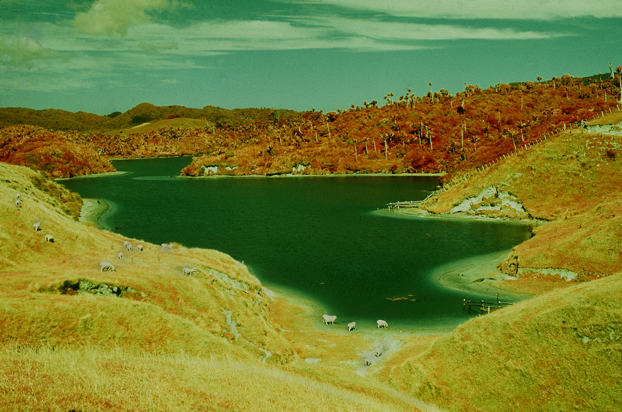 Kaihoka Lake in Infra Red, Golden Bay