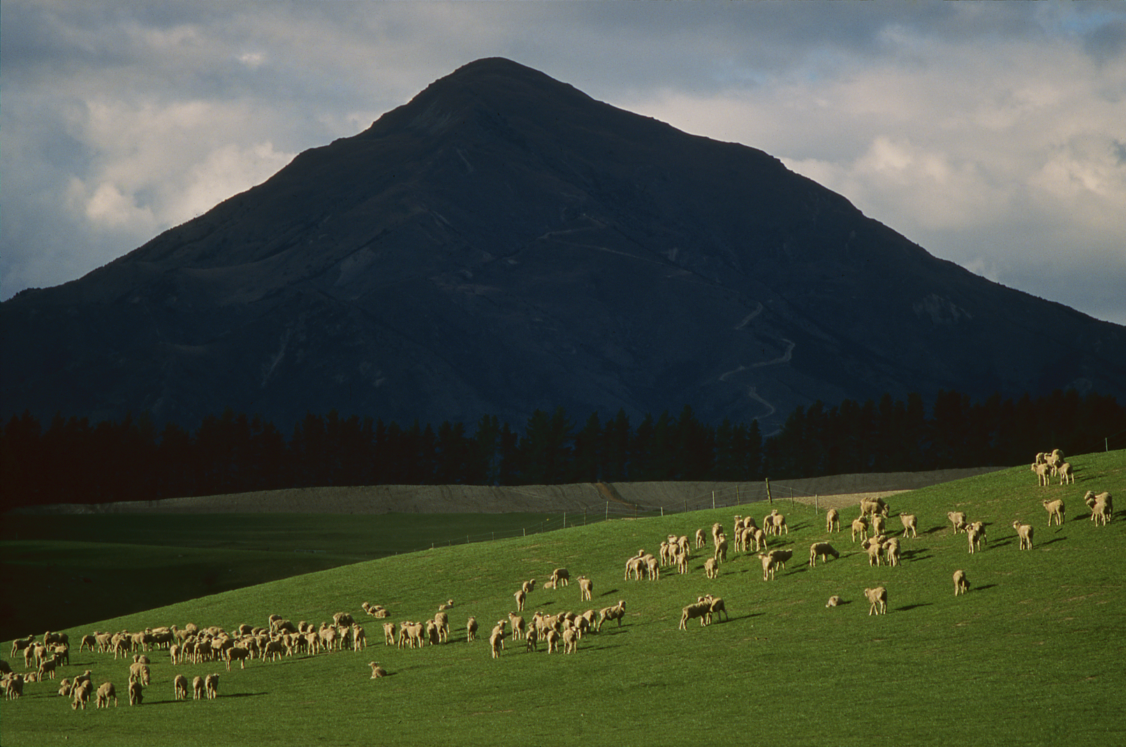 Roadside view: Wanaka, Central Otago