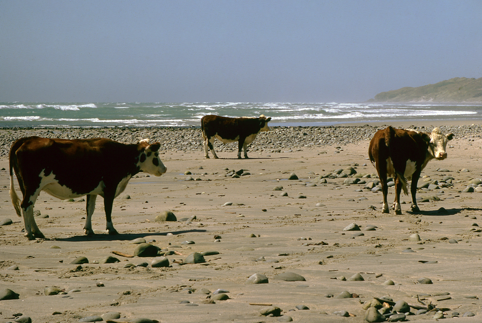 Afternoon On the Beach at Anatori