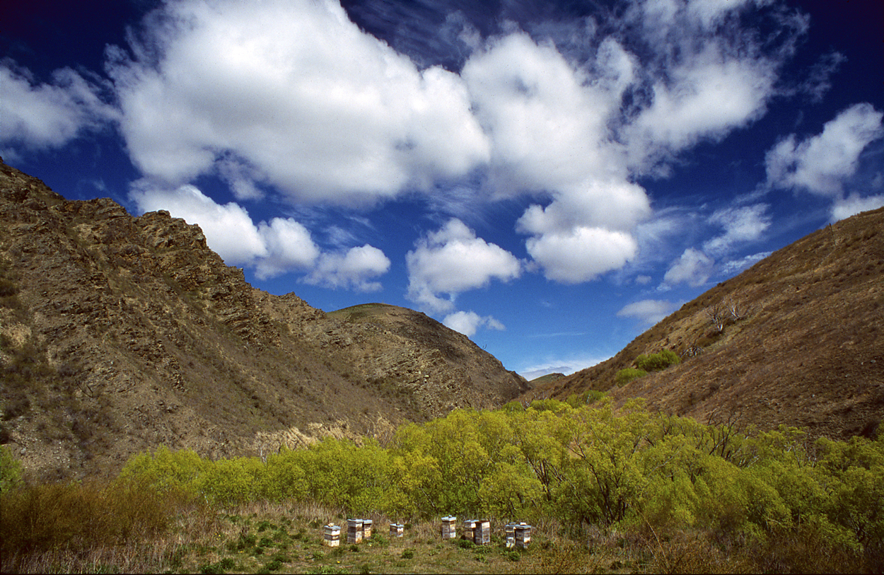 Roadside View: From the Lindis Highway