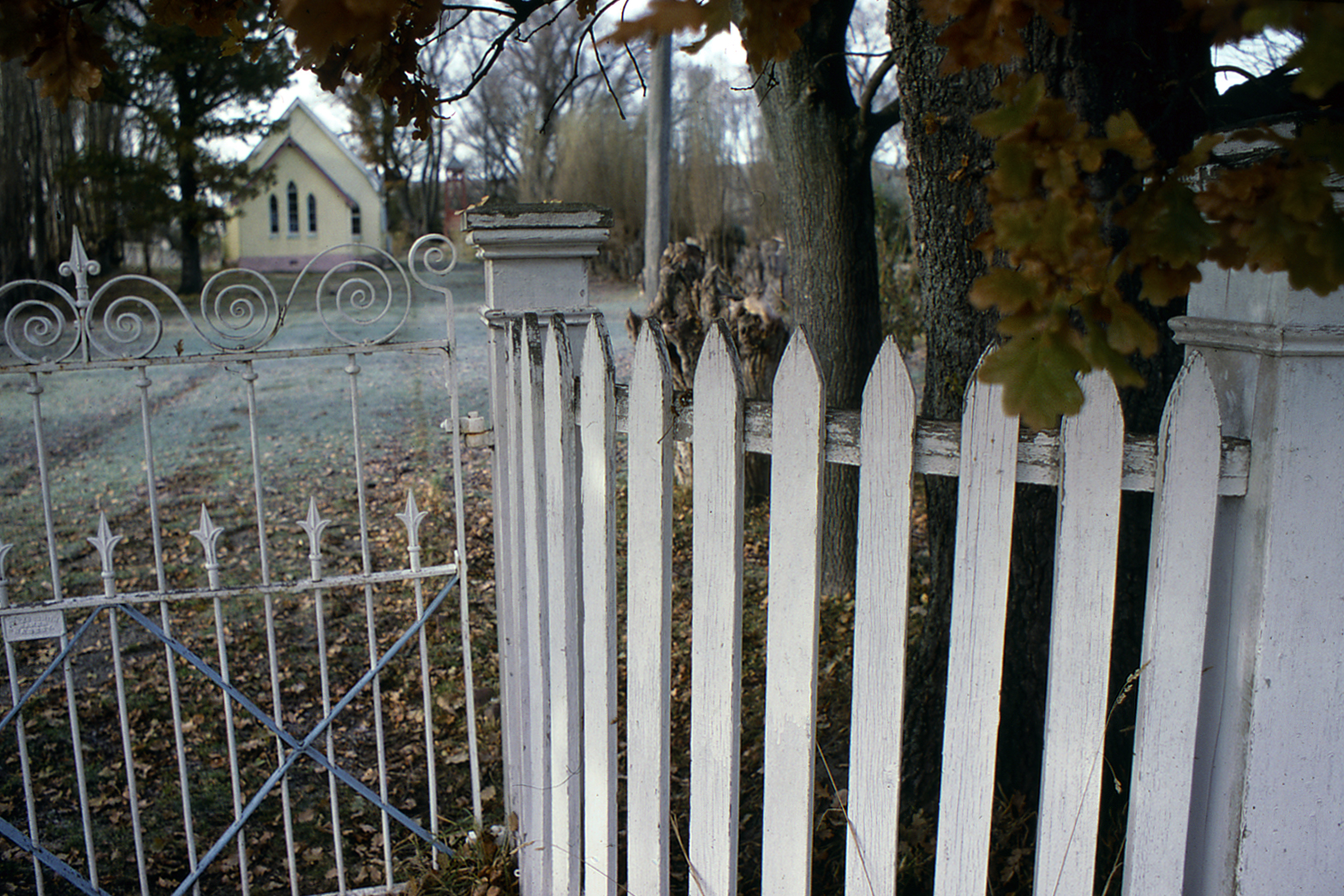 Roadside view: Autumn frost, Waipiata