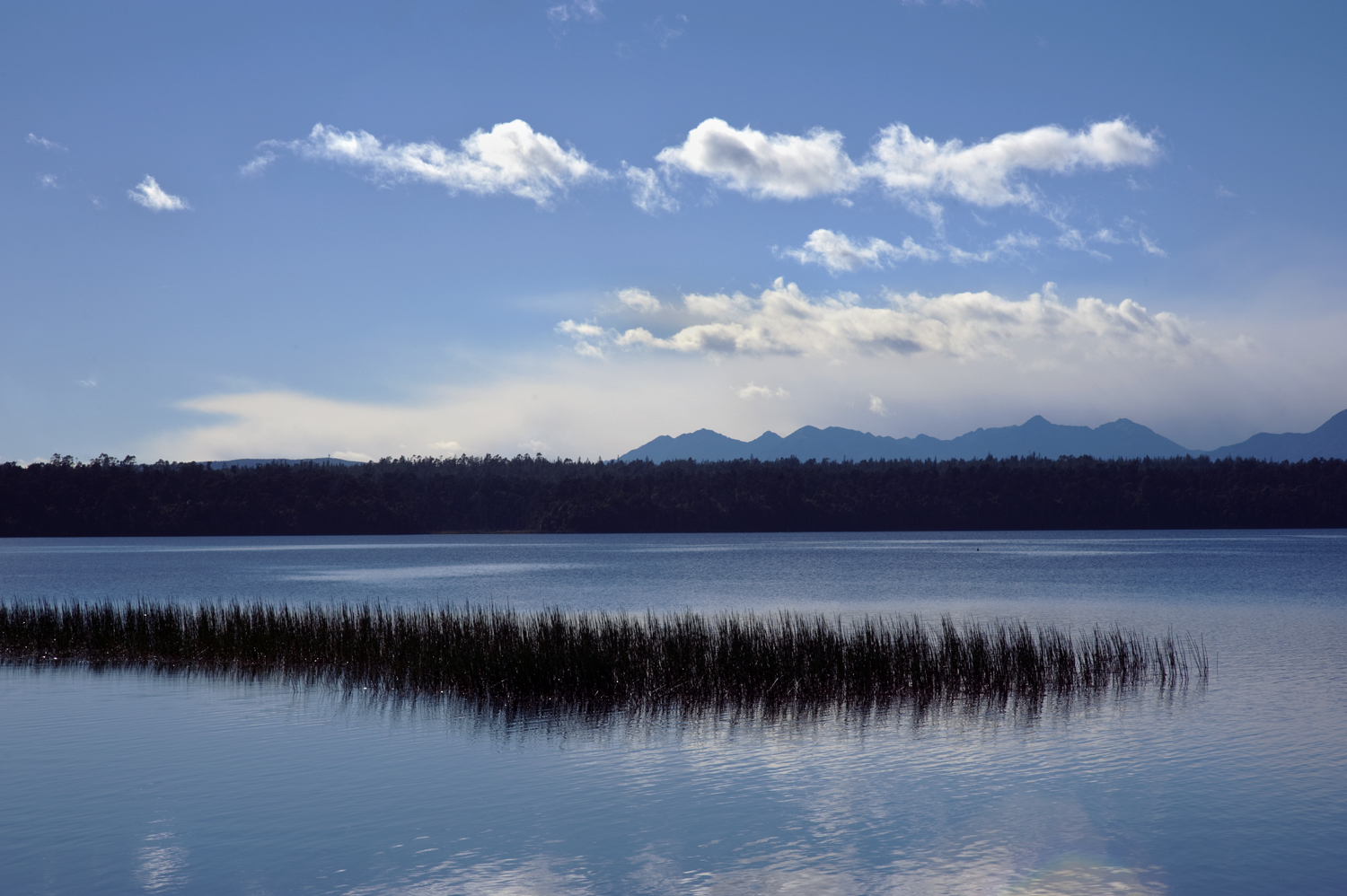 Modest Epiphanies: Lakeside morning