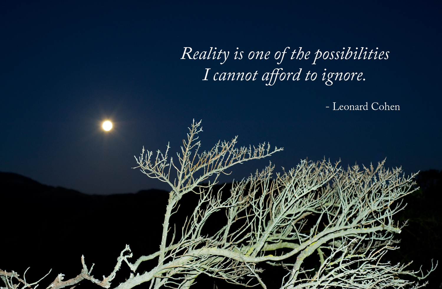 Reality is one of the possibilities